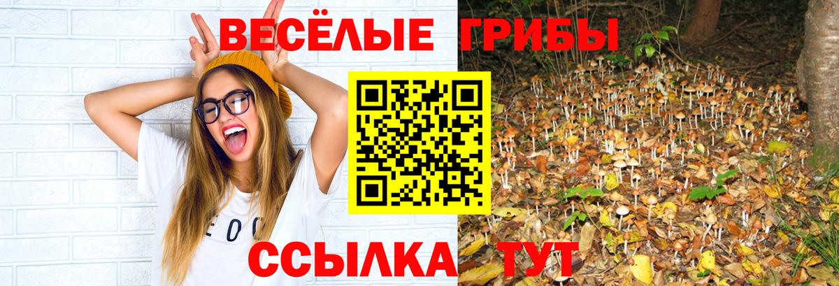 Одинцово  Галлюциногенные грибы MAGIC MUSHROOMS  Вход с VPN  Псилоцибиновые грибы GOLDEN TEACHER 